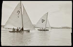Negative: Yachts racing, Auckland image item