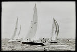 Negative: Yachts racing, Auckland image item