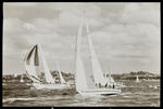 Negative: Yachts sailing on Waitematā Harbour image item