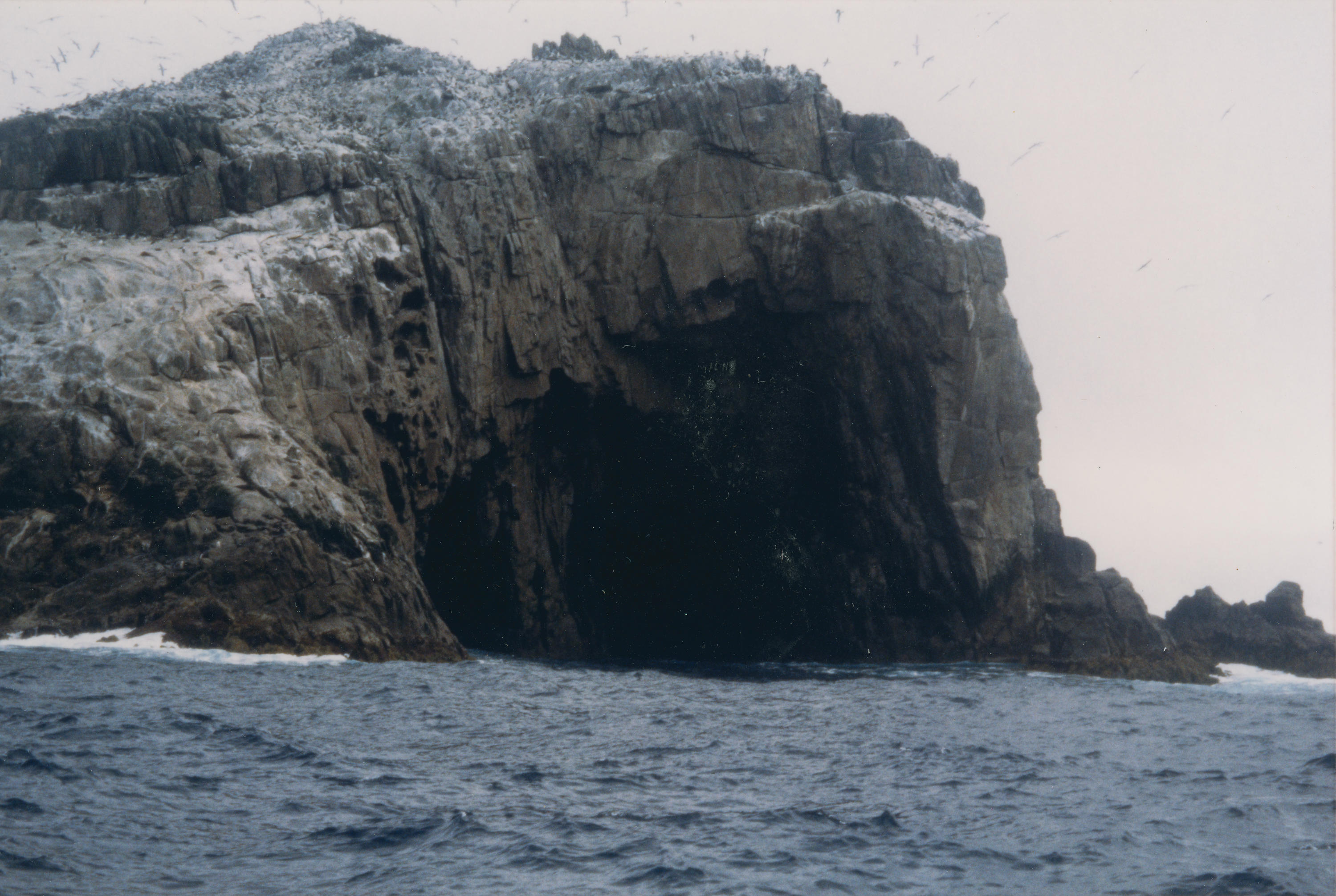 Photograph Funnel Island, Bounty Islands, 1997 New Zealand Maritime