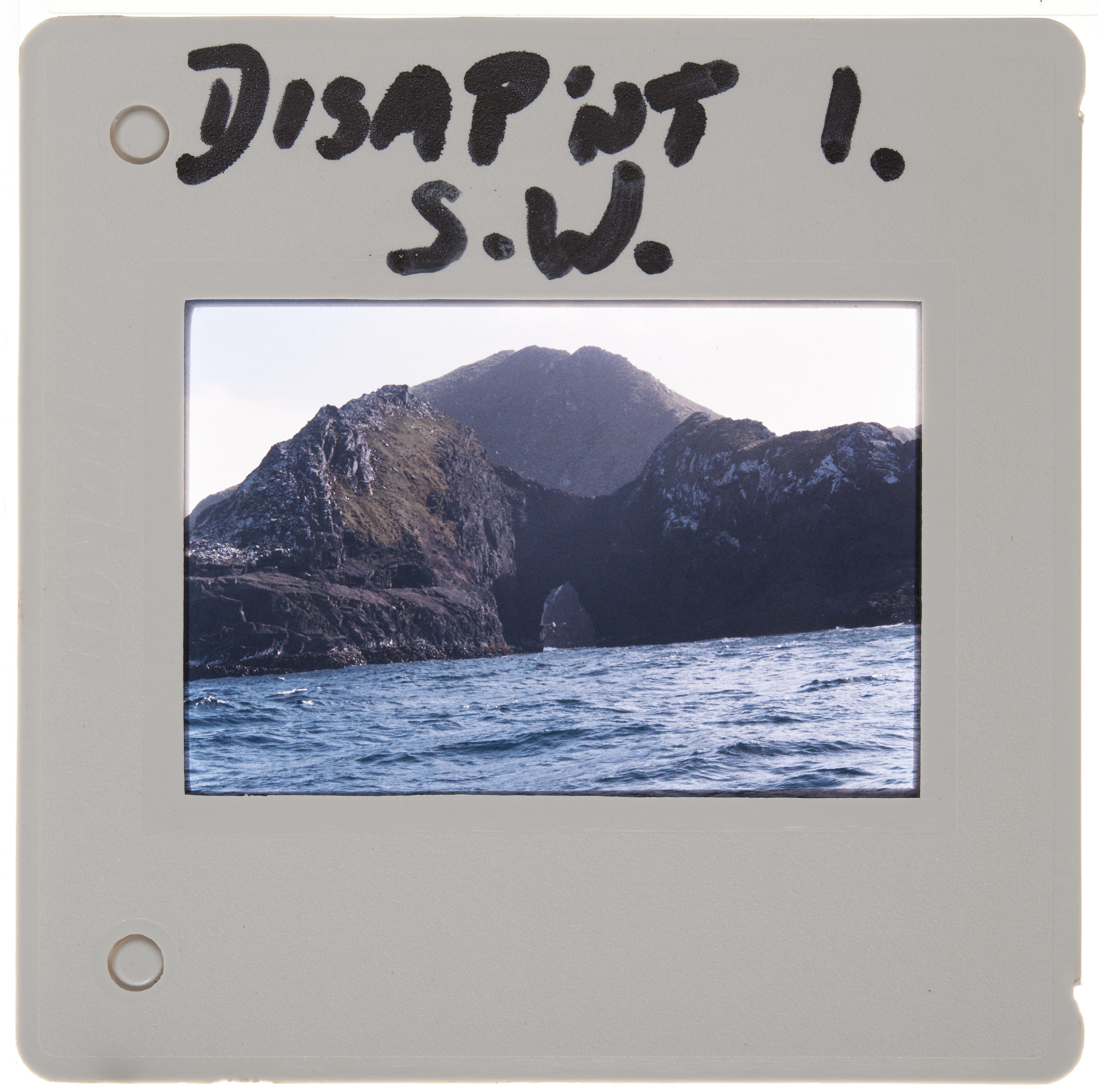 Slide Disappointment Island, Auckland Islands, Jan 1994 New Zealand