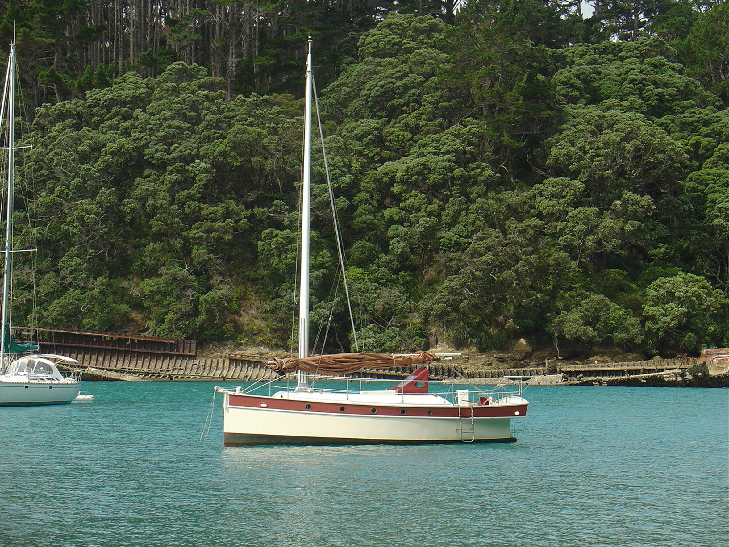 Photograph FOOTPRINTS on Mahurangi Harbour, Hauraki Gulf New Zealand