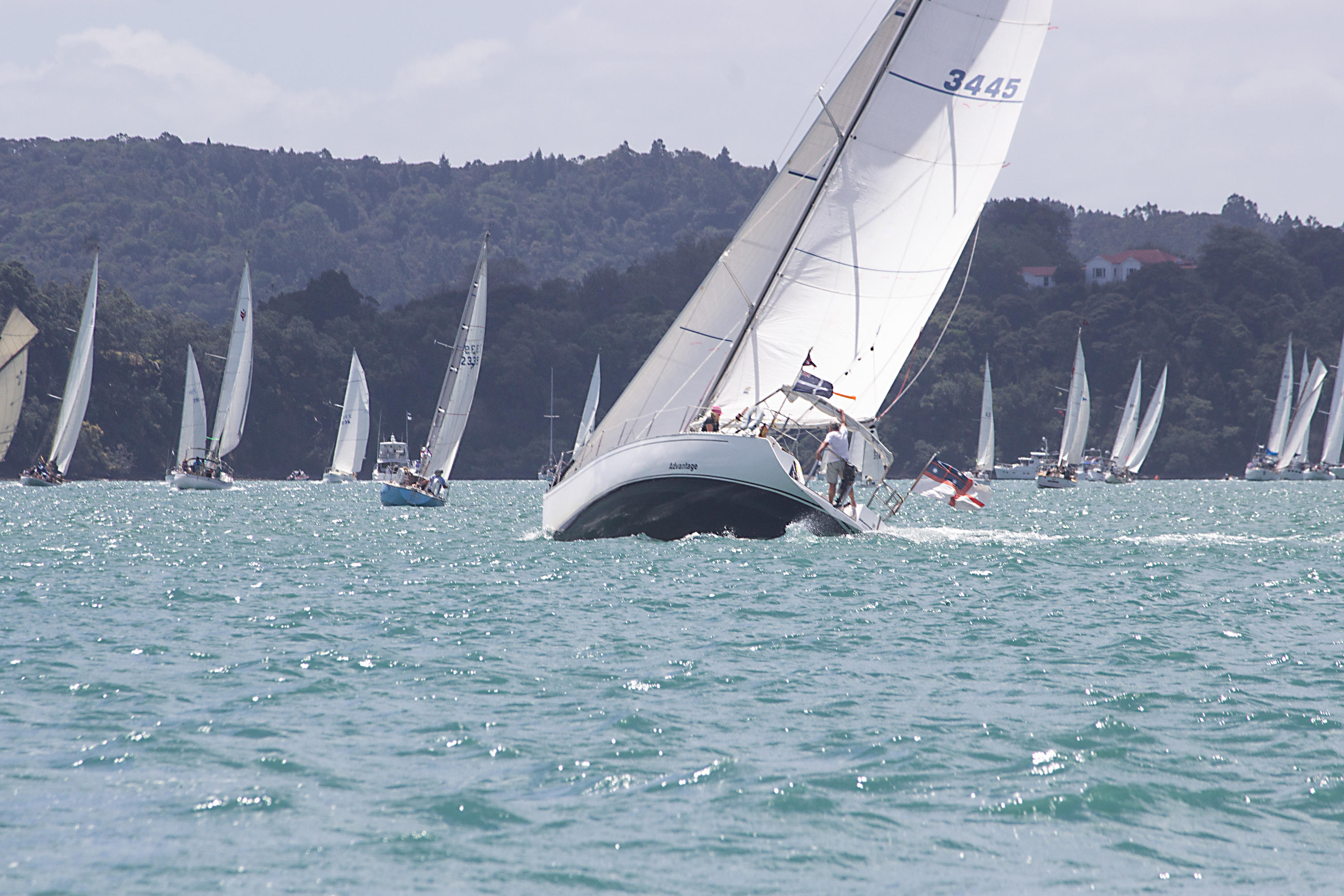Photograph ADVANTAGE on Mahurangi Harbour, Hauraki Gulf New Zealand