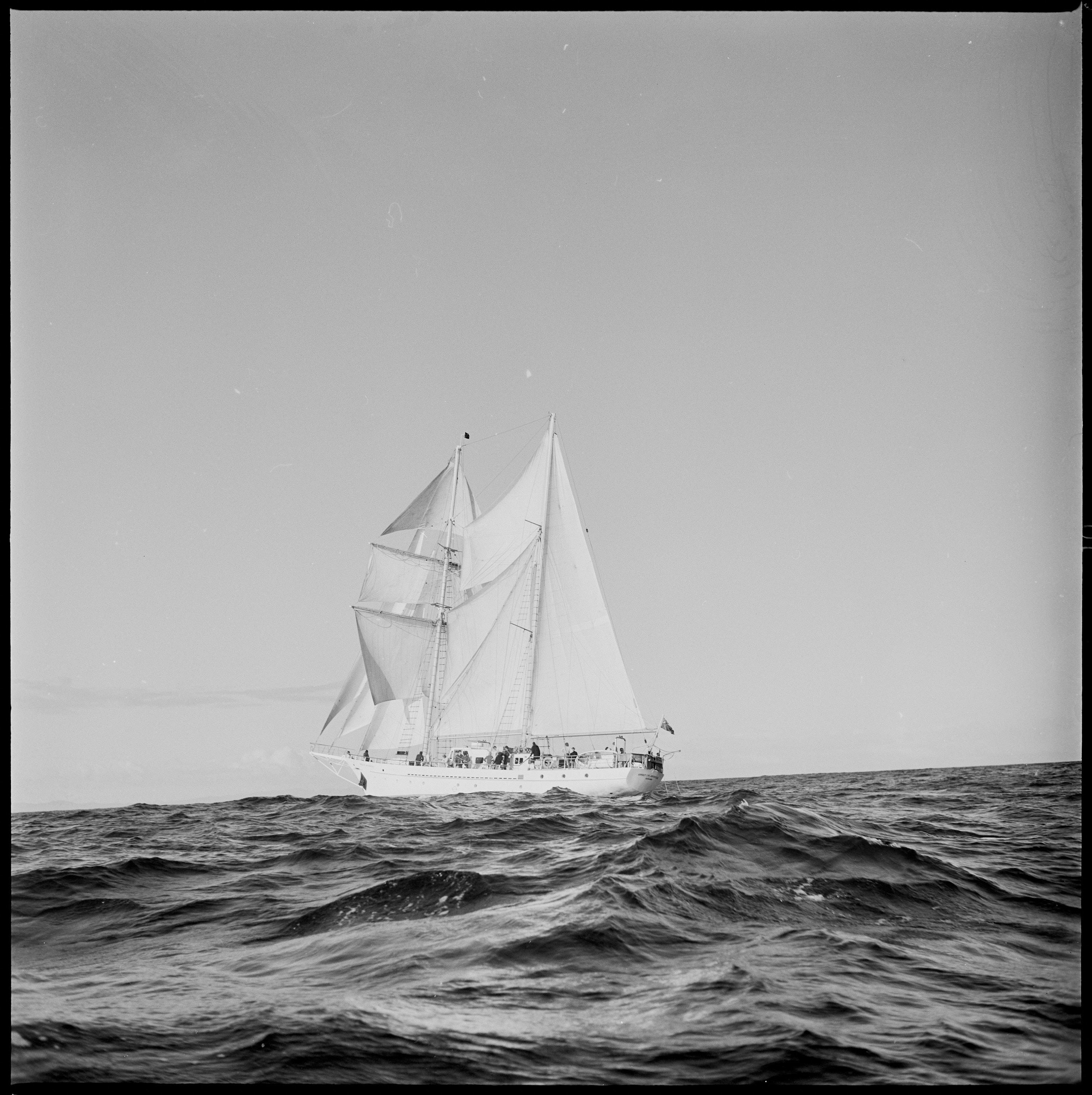 Negative SPIRIT OF ADVENTURE (1973) New Zealand Maritime Museum
